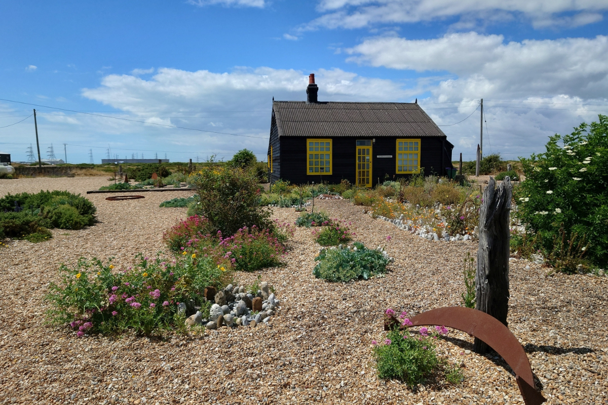 Embracing the Wild: Derek Jarman’s Revolutionary Garden Design in Dungeness